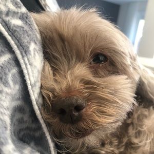 Meet your Posher, Julia